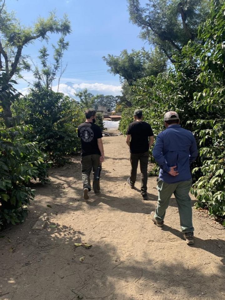 A team of 3 employees at Fince Jauja walking the grounds past foliage