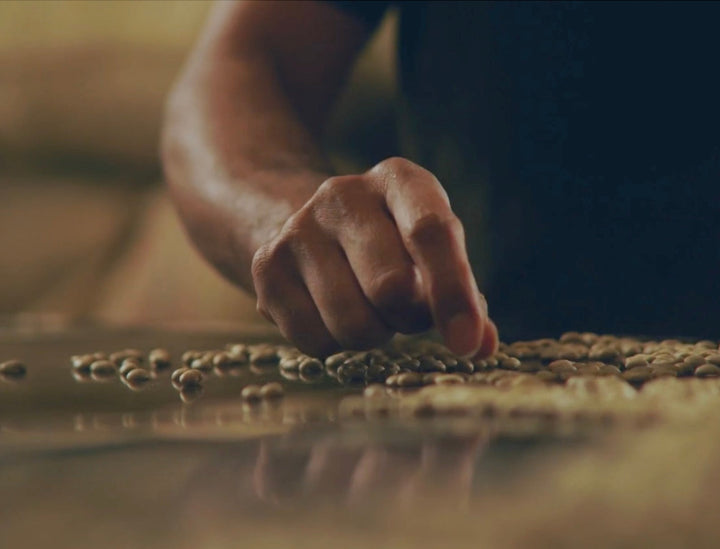 A hand moving green beans around on a table