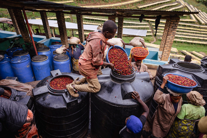 Rwanda Muhororo Ireme Anaerobic Natural