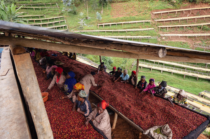 Rwanda Muhororo Ireme Anaerobic Natural
