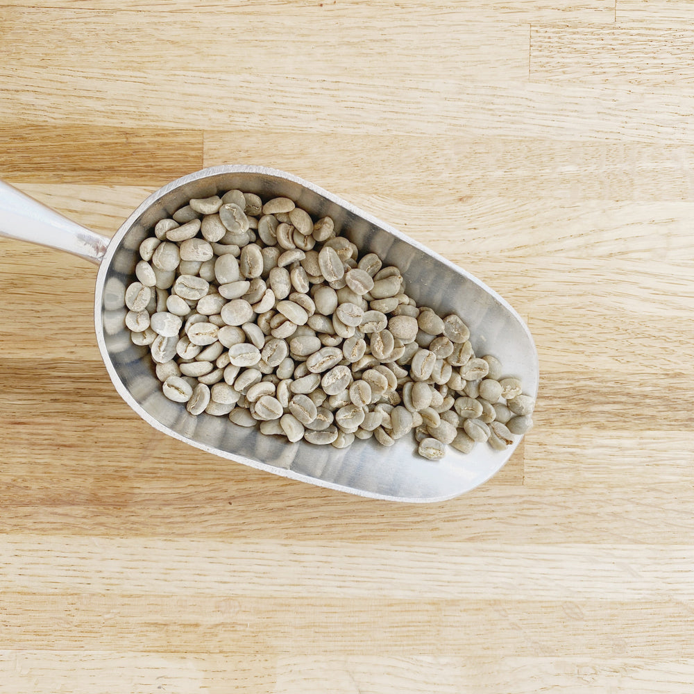 Kenya AA whole green coffee beans at Regent Coffee's Shop