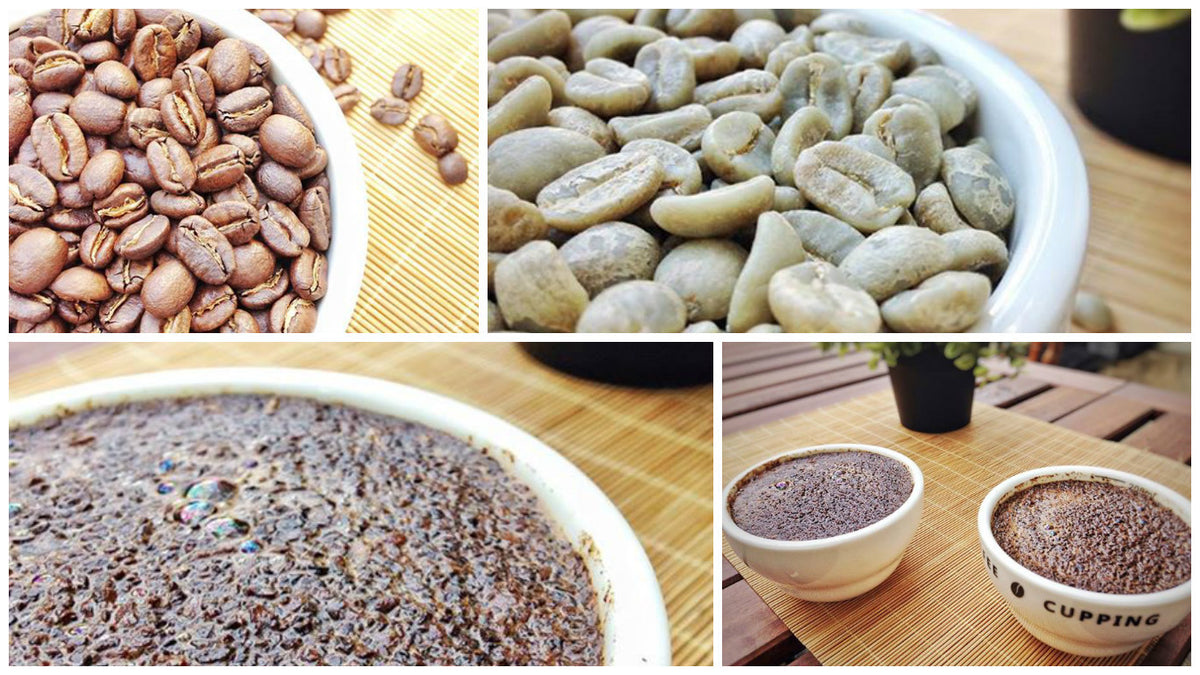 Intro to Our Roast Types