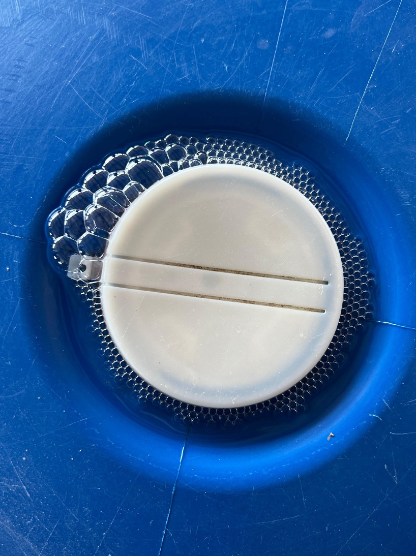 A bird's eye view of the blue fermentation chamber containing beans that have created bubbles areund the opening of the keg