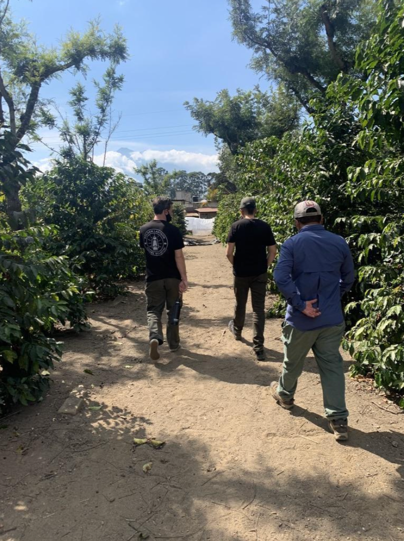 A team of 3 employees at Fince Jauja walking the grounds past foliage