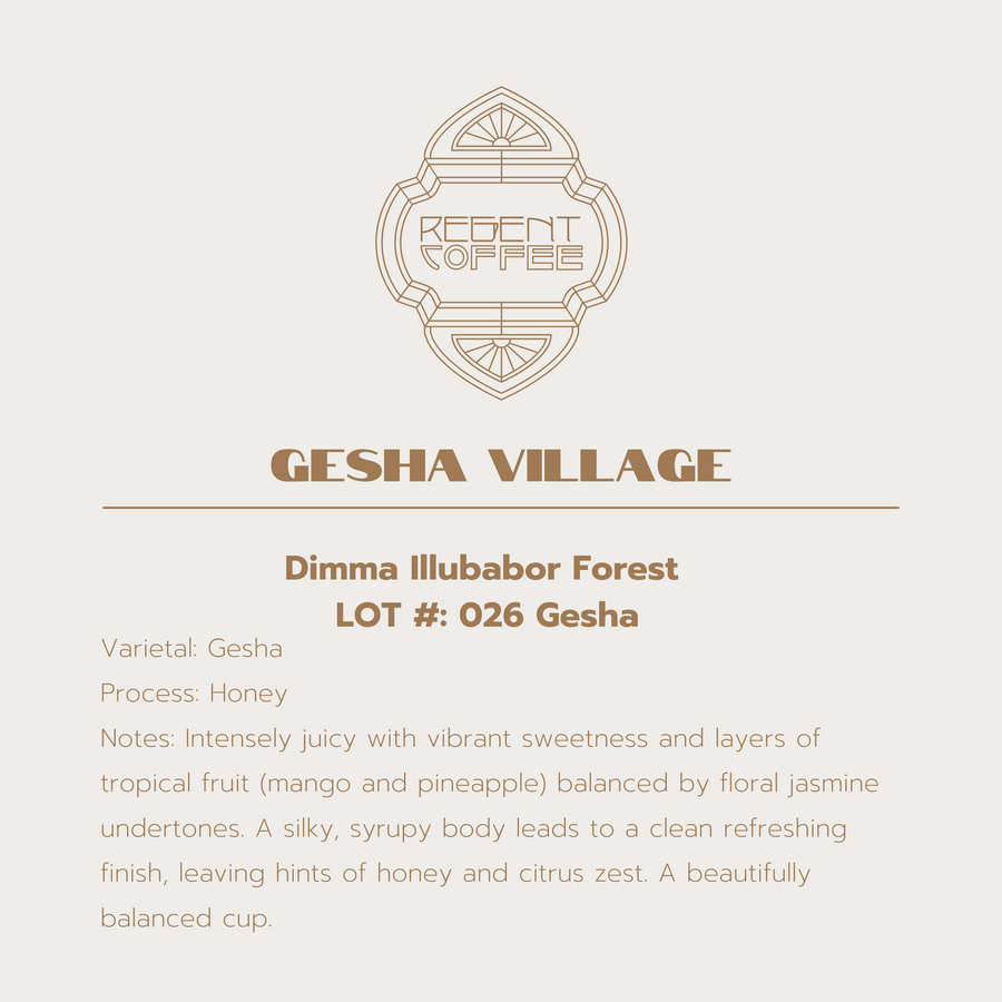 Infographic for Gesha Village Dimma Illubabor Forest