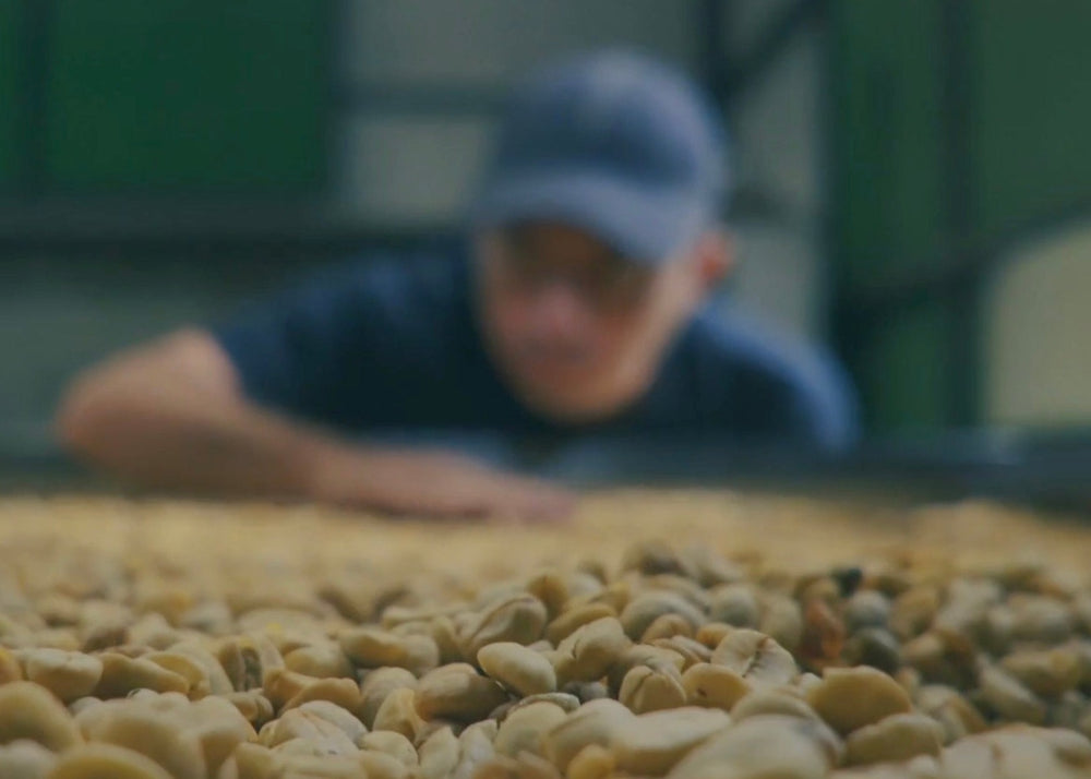 closeup of green beans with a blurry person in the background