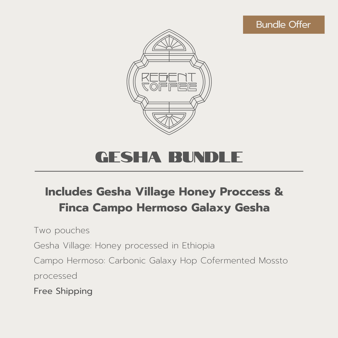 Gesha Bundle | Gesha Village & Finca Campo Hermoso