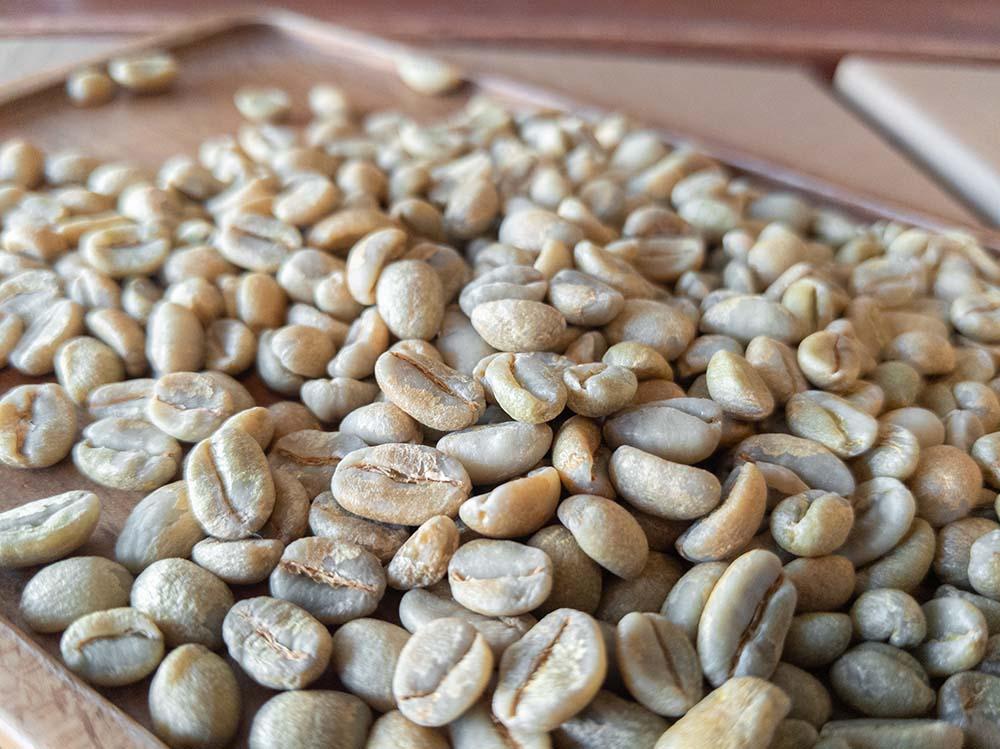 Ethiopia Guji Natural Whole Coffee Beans - Regent Coffee Roaster Glendale California