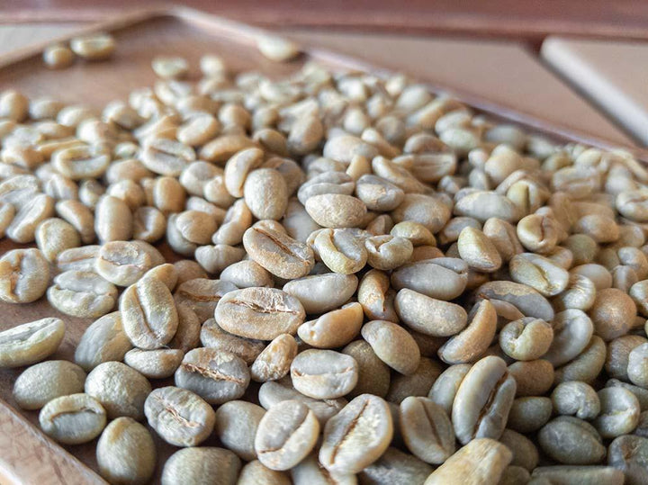 Ethiopia Guji Natural Whole Coffee Beans - Regent Coffee Roaster Glendale California