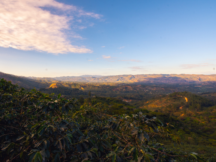 Gorgeous vista of a valley from the Marcala region of Honduras.